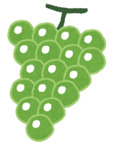 マスカットイラスト